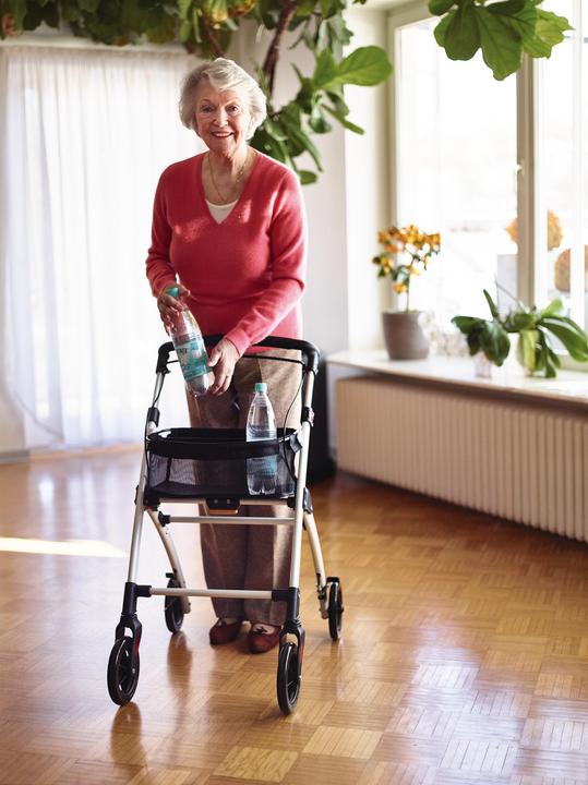 Immagine prodotto Ridder Indoor