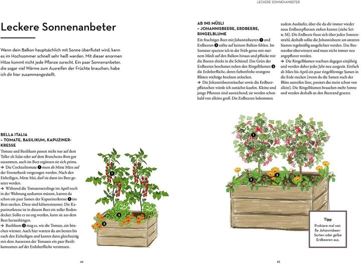 Produktbild Kosmos Mein Balkon-Hochbeet (Deutsch, Lisa-Maria Trauer, 2022)