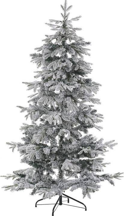 Image du produit Beliani Tomichi (180 cm)