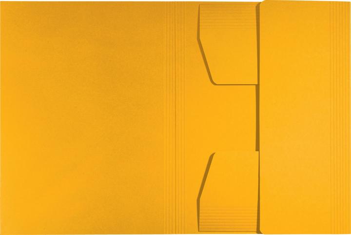 Actual product image Leitz Inlay Folder Juris Folder A4 Yellow (A4, 1 x)