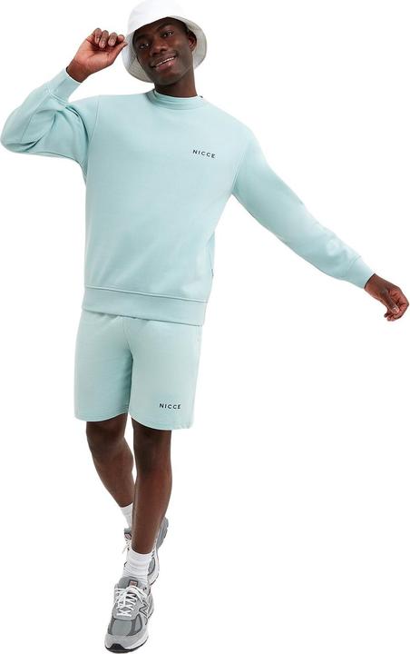 Immagine prodotto Nicce shorts garment dye mercury (L)
