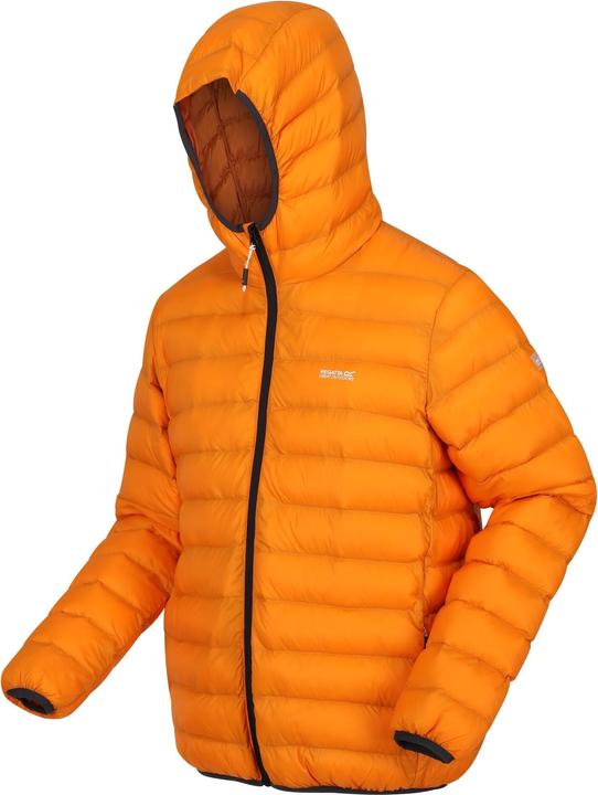 Image du produit Regatta Mens Marizion Baffled Hooded Padded Jacket (veste matelassée à capuche) (S)