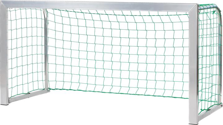 Sport-Thieme Mini-Fussballtor Young Players