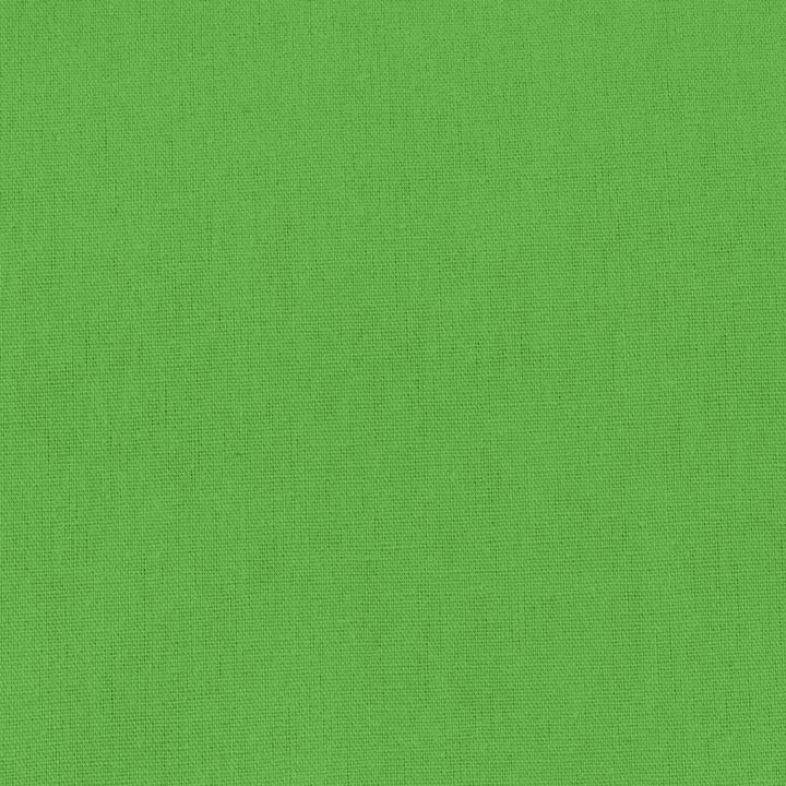 Immagine prodotto Hama Sfondo verde (295 cm, 600 cm)