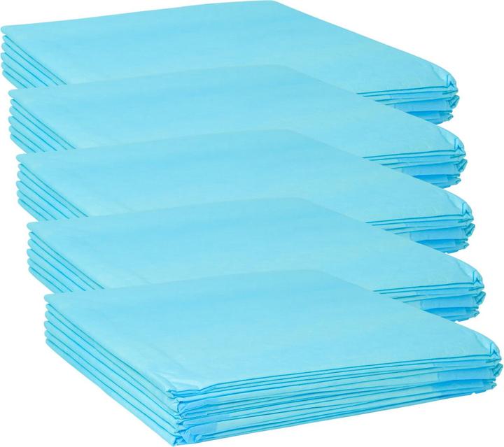 Image du produit Dogs Collection Tapis d'entraînement 30 x pour chiens, tapis pour chiots, 5 couches, anti-fuite, 60 x 60 cm (Chien)