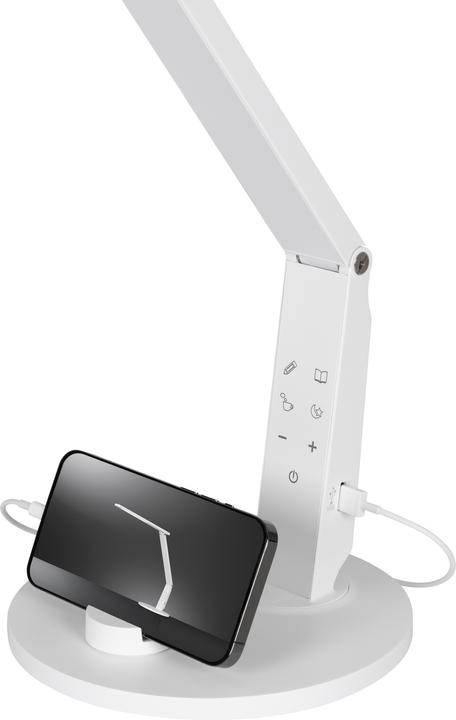Actual product image Hansa Vario Plus (900 lm)