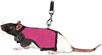 Produktbild Trixie Softgeschirr mit Leine für Ratten (Nager, Allgemein)