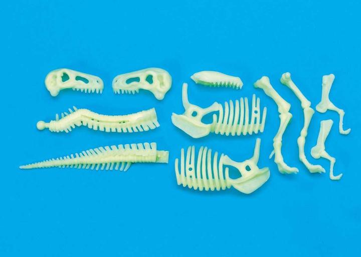 Image du produit Brainstorm Squelette de T-Rex Glow in the Dark