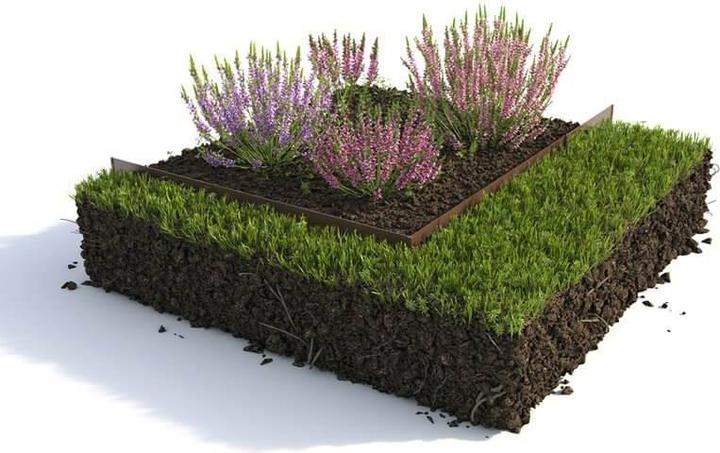 Actual product image Colibri Lawn edge (100 cm)