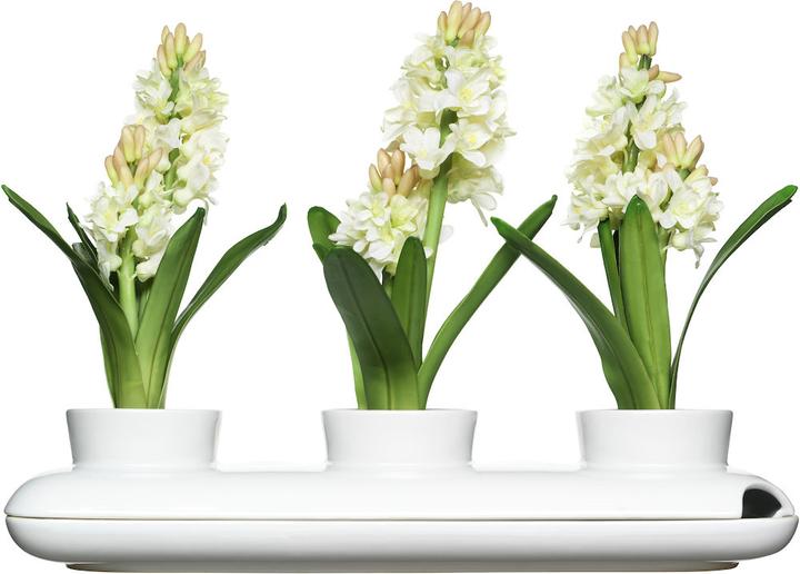Immagine prodotto Sagaform Tris di erbe aromatiche (13 cm)