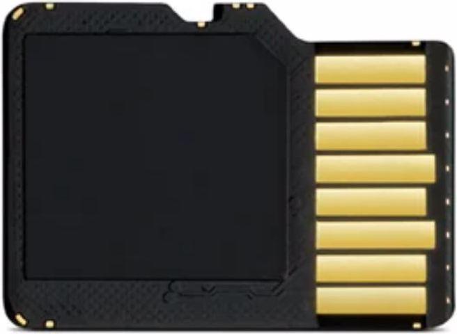Garmin TransFlash