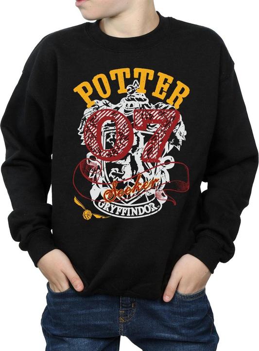 Immagine prodotto Gryffindor Seeker Felpa Ragazzi (128)