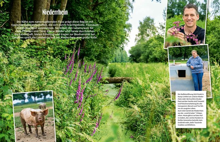 Actual product image Land & lecker Band 7 (German, The Countrywomen, 2024)