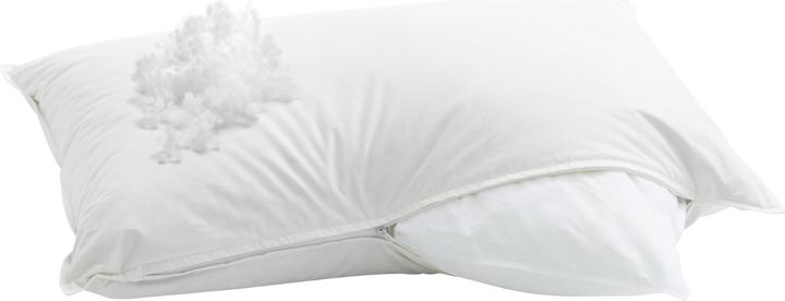 Actual product image Billerbeck Casa Fibre (65 x 100 cm)