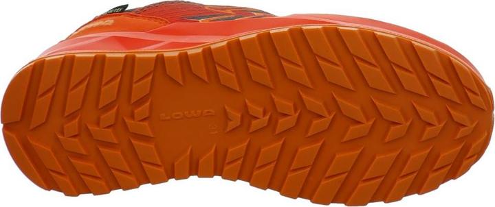 Image du produit Lowa Ferrox GTX LO (28)