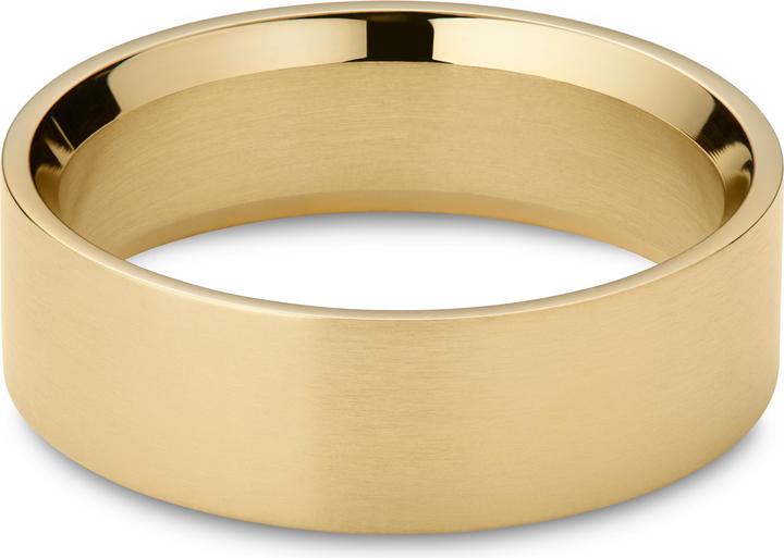 Actual product image Lucleon Ferrum (55, Steel)