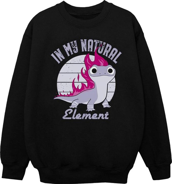 Produktbild Disney Frozen 2 Salamander Bruni Element Sweatshirt Jungen (140, 146)