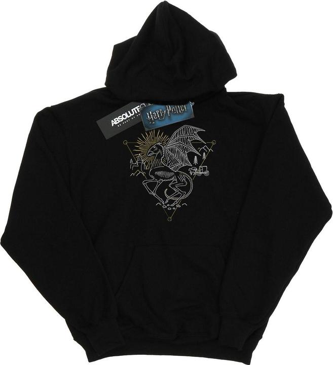 Actual product image Womens/Ladies Thestral Line Art Hoodie (S)