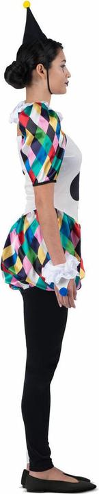 Actual product image My Other Me Disguise for adults Harlequin (6 pieces) (M, L)