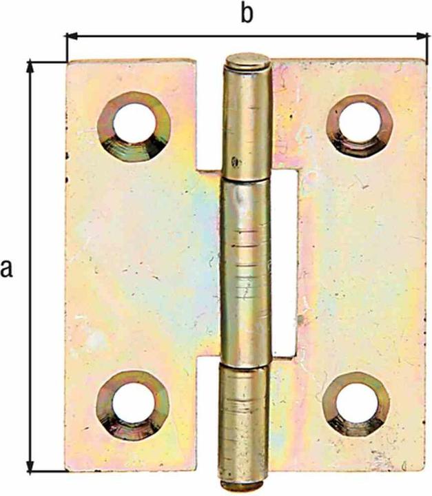Immagine prodotto Alberts Cerniera stretta con perno in ottone rivettato, 51 x 30 mm, zincata gialla