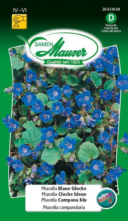 Actual product image Samen Mauser Phacelia Blue Bell (Flower seeds)