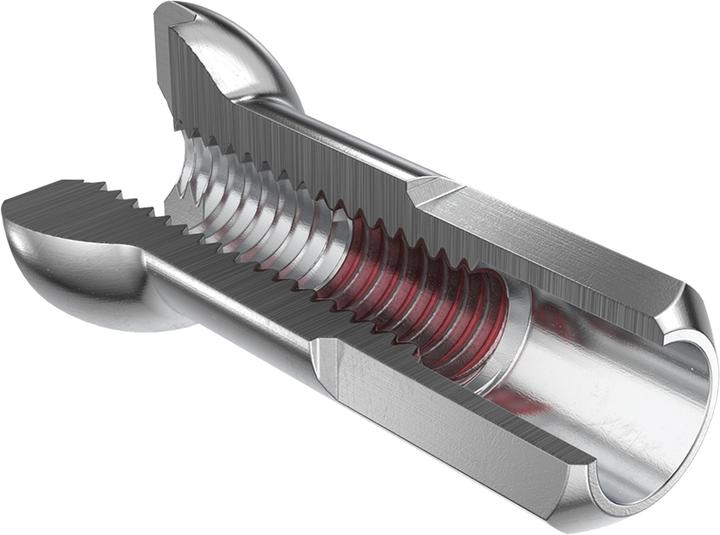 Immagine prodotto DT Swiss Nipplo Pro Head in ottone PL 1.8x12mm, sz, 100 pz.