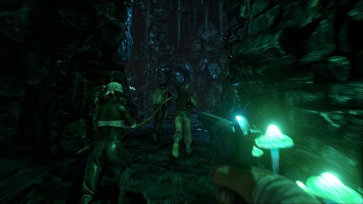 Image du produit Wild Card Studios ARK : Survival Evolved (Switch, EN)