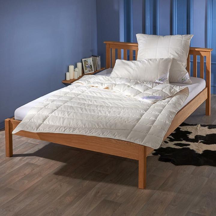 Produktbild Traumschlaf Baumwolle leicht (800 g, 160 x 210 cm)
