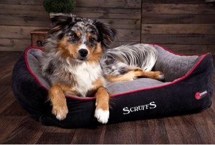 Actual product image Scruffs Thermal cuddle bed (Dog)