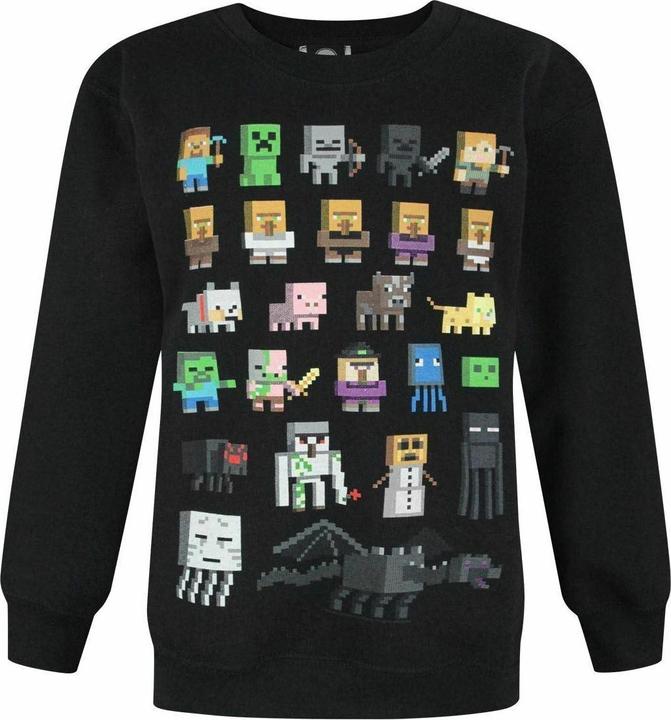 Minecraft Boys Sprites Sweatshirt
