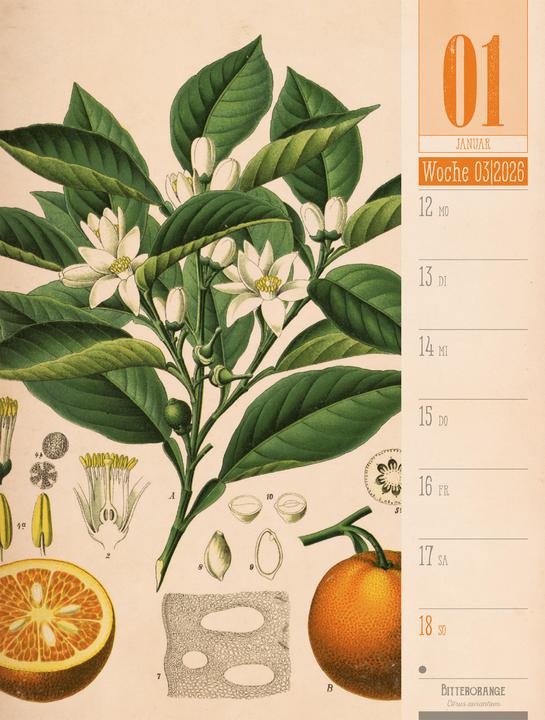 Produktbild Culinarium - Küche, Kräuter, Kurioses - Vintage Wochenplaner Kalender 2026 (25 x 33 cm, Harter Einband, Deutsch)