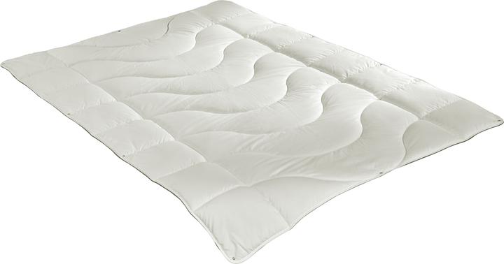 Produktbild Irisette Greenline Greenline Cyclafill ECO 4-Jahreszeiten (1000 g, 200 x 210 cm)