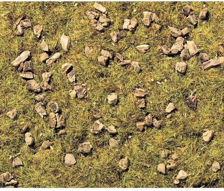 Image du produit Noch Herbe à litière Prairie de montagne rocailleuse 8