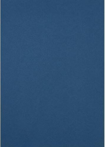 Immagine prodotto GBC LeatherGrain - Cartone A4 100 pz - blu reale