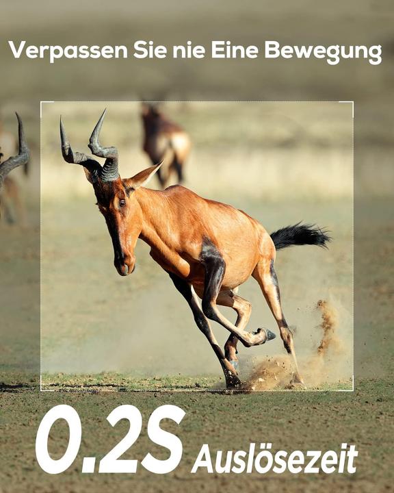 Actual product image iZeeker Wildkamera mit Bewegungsmelder und Nachtsicht