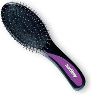 Image du produit TOP Brosse à cheveux populaire 2731