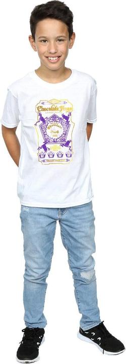 Actual product image Boys Chocolate Frogs Coloured Label T-Shirt (116)