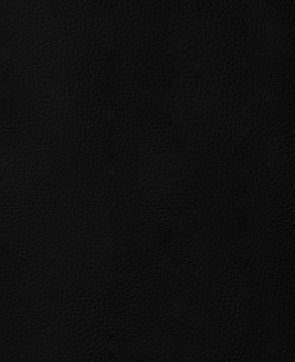 Actual product image Stafil Faux leather fabric