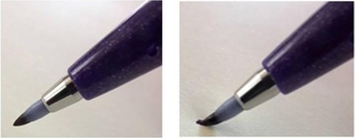 Actual product image Pentel Brush Sign Pen, Fibre Pen (Multicoloured, 7 x)