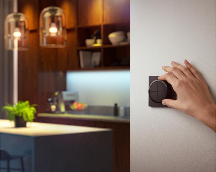 Image du produit Philips Hue Commutateur Tap dial