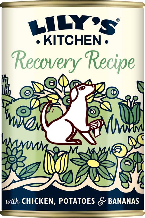 Produktbild Lily's Kitchen Recovery Recipe (Adult, 1 Stk., 400 g)