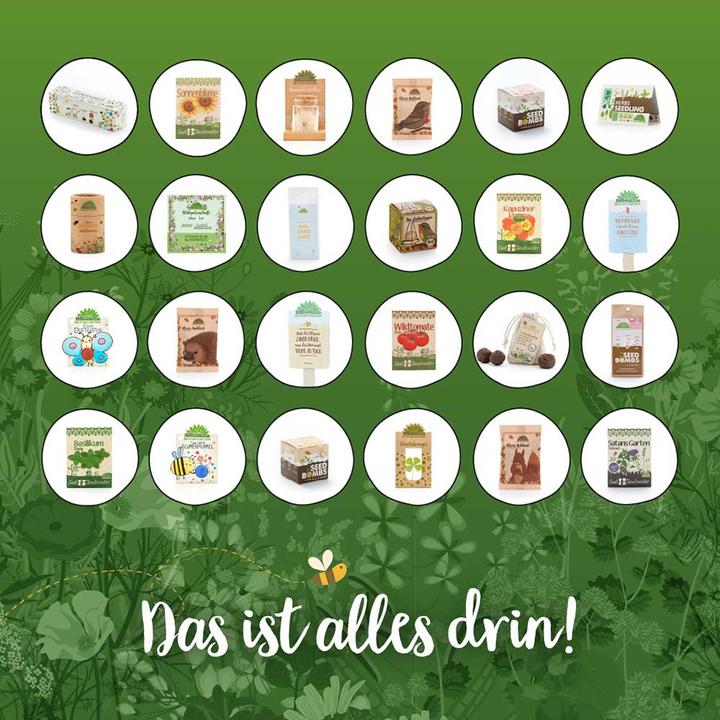 Actual product image Die Stadtgärtner Advent calendar city gardener nature experiences