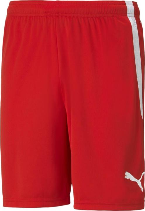 Actual product image Puma teamLIGA shorts (XXL)