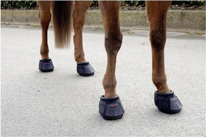 Produktbild Covalliero Hufschuh (einzeln)