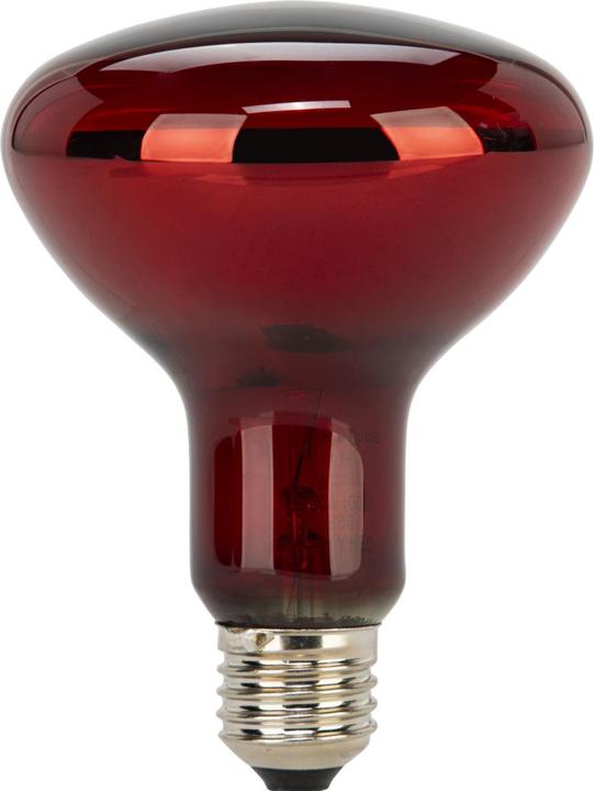 Produktbild Beurer Ersatzstrahler IL 11 (100 W)