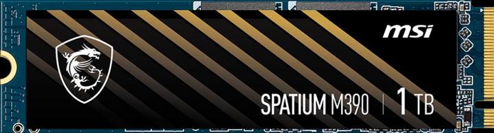 Actual product image MSI Spatium M390 (1000 GB, M.2 2280)