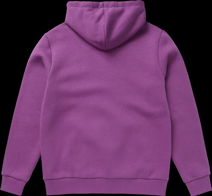 Actual product image Mystic Icon Hood Sweat (L)