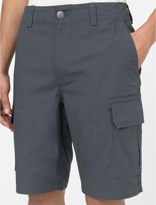 Actual product image Dickies Millerville Short (32)