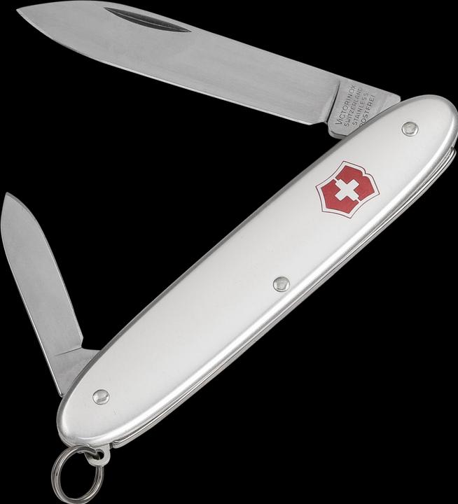 Produktbild Victorinox Excelsior Alox