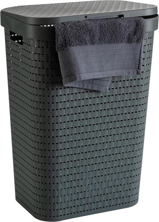 Image du produit Rotho Pays (55 l)